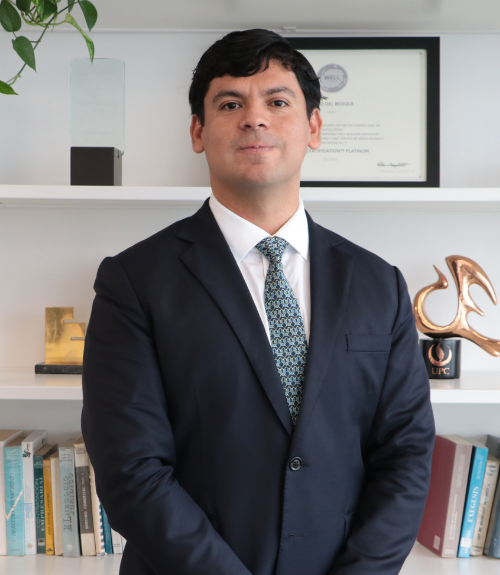 Carlos Solís Director de Enel Distribución Perú﻿
